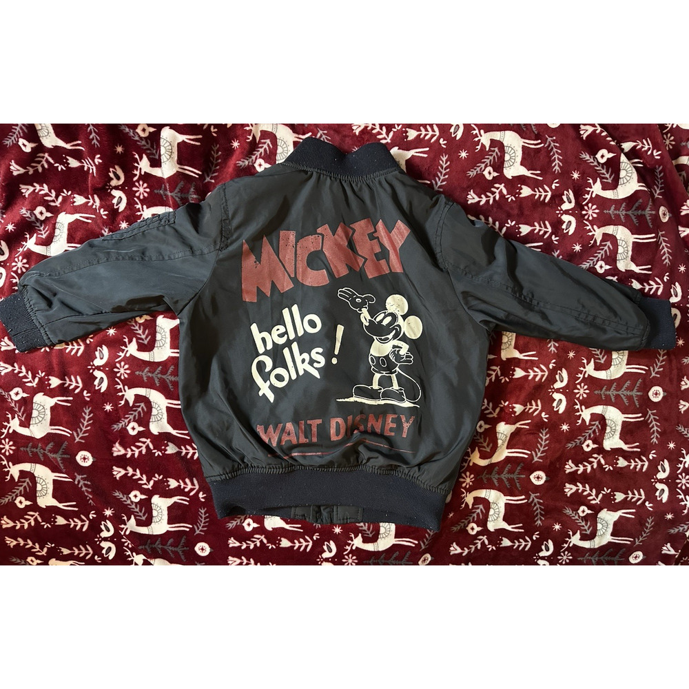 LOT 10 Piece Baby Boy 18 - 24 months Long Sleeve Tops Jackets Adidas Disney Zip - Picture 3 of 11